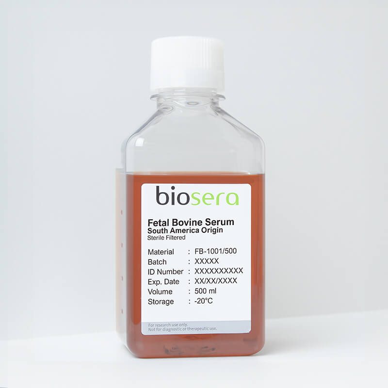 Fetal Bovine Serum (FBS) South America