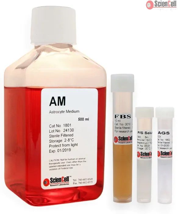 Astrocyte Medium (AM)