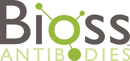 Bioss Antibodies