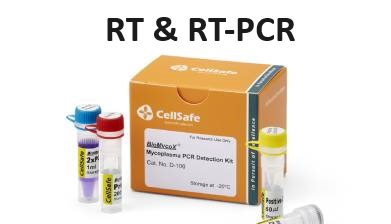 CellSafe