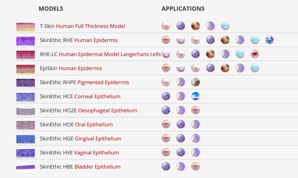 Episkin Mesh Reconstructed Tissues | Toxicology