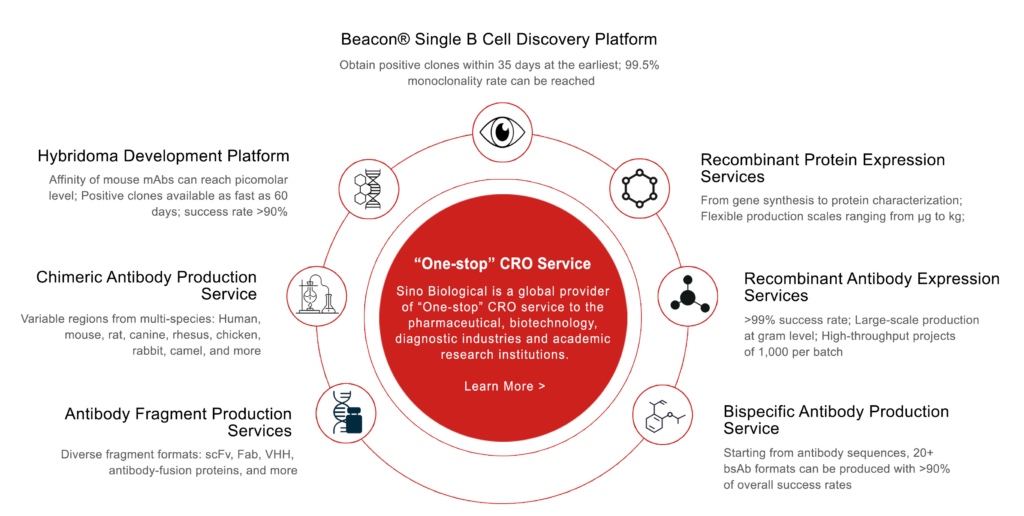 Chendrex Chondrex - Krishgen Biosystems